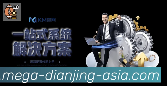 奖项4
